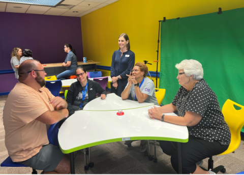 Teachers in professional development